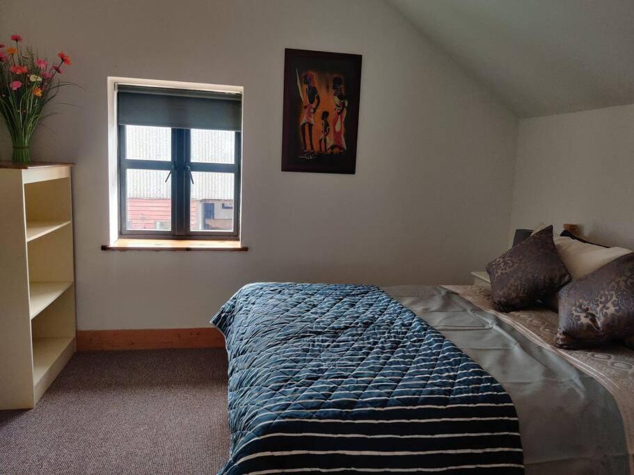 Kingsford Renovated Old Cottage 웩스퍼드 외부 사진