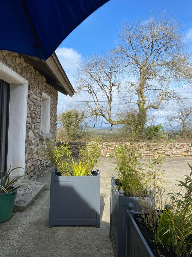 Kingsford Renovated Old Cottage 웩스퍼드 외부 사진